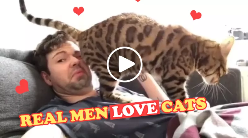 10 Guys That Prove CATS Are Actually Man’s Best Friend