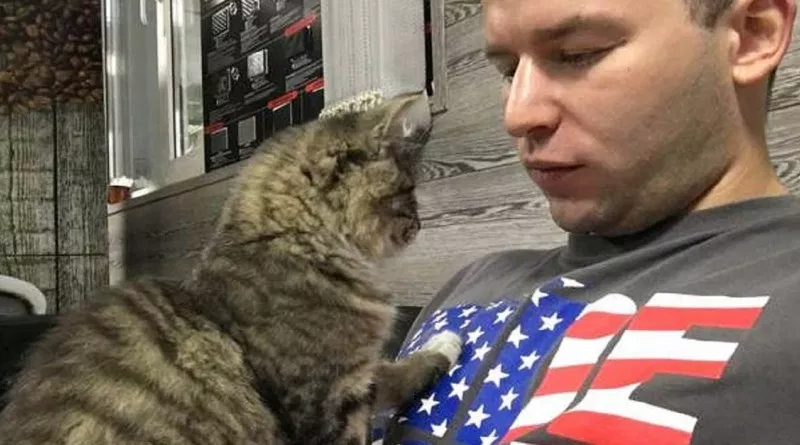 Stray Kitten Walks Up to A Stranger And Chooses Her New Dad